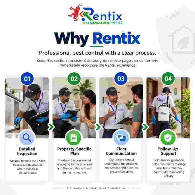 Rentix fly control professional service