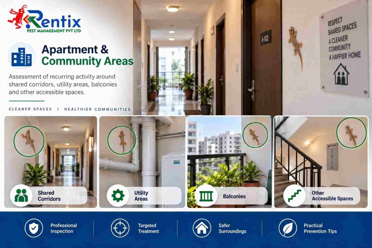 Commercial lizard removal Hyderabad