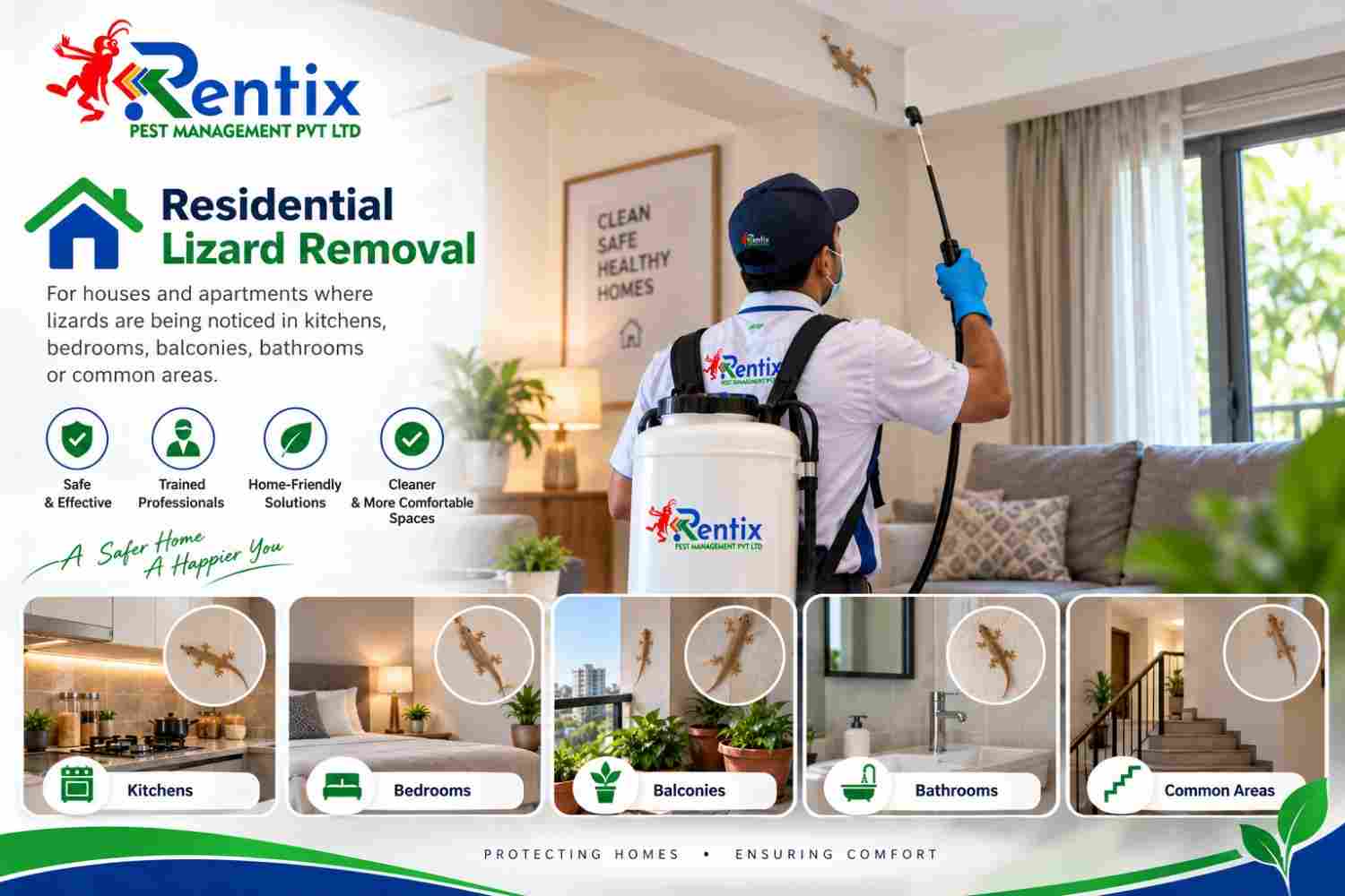 Lizard removal for homes in Hyderabad
